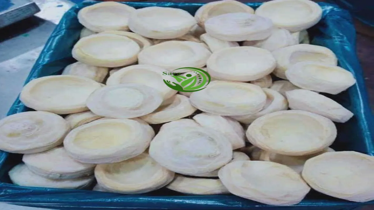 Frozen artichoke Exporter From Egypt